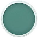 PanPastel Artists Pastels 620.3 Phthalo Green Shade