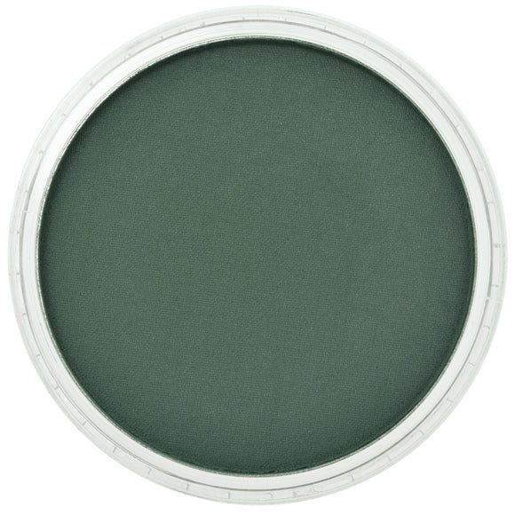PanPastel Artists Pastels 620.1 Phthalo Green Extra Dark