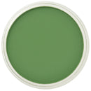 PanPastel Artists Pastels 660.5 Chromium Oxide Green