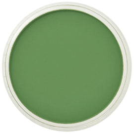 PanPastel Artists Pastels 660.5 Chromium Oxide Green