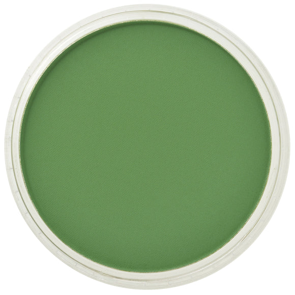 PanPastel Artists Pastels 660.5 Chromium Oxide Green