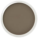 Raw Umber Shade PanPastel Artists Pastels 780.3 