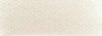 Raw Umber Tint PanPastel Artists Pastels 780.8