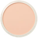 Red Iron Oxide Tint PanPastel Artists Pastels 380.8