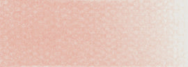 Red Iron Oxide Tint PanPastel Artists Pastels 380.8
