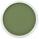 PanPastel Artists Pastels 660.3 Chromium Oxide Green Shade