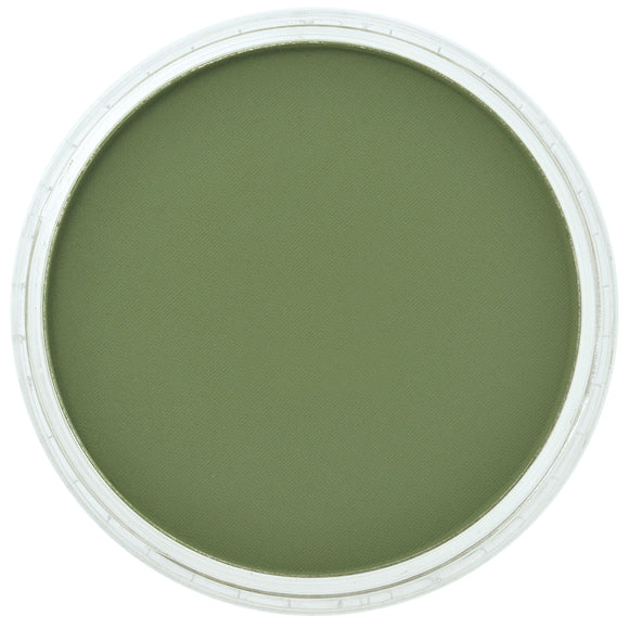 PanPastel Artists Pastels 660.3 Chromium Oxide Green Shade