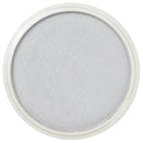 Silver PanPastel Artists Pastels 920.5