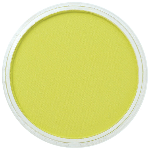 PanPastel Artists Pastels 680.5 Bright Yellow Green