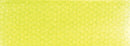 PanPastel Artists Pastels 680.5 Bright Yellow Green