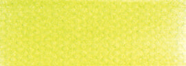 PanPastel Artists Pastels 680.5 Bright Yellow Green