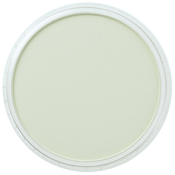 PanPastel Artists Pastels 660.8 Chromium Oxide Green Tint