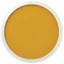 Yellow Ochre PanPastel Artist Pastel 270.5