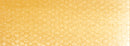 Yellow Ochre PanPastel Artist Pastel 270.5