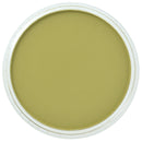 PanPastel Artists Pastels 680.3 Bright Yellow Green Shade