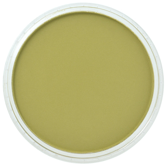 PanPastel Artists Pastels 680.3 Bright Yellow Green Shade