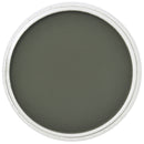 PanPastel Artists Pastels 660.1 Chromium Oxide Green Ex Dark