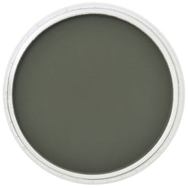 PanPastel Artists Pastels 660.1 Chromium Oxide Green Ex Dark