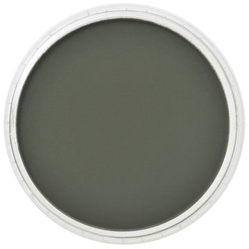 PanPastel Artists Pastels 660.1 Chromium Oxide Green Ex Dark