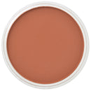 PanPastel Artists Pastels 740.5 Burnt Sienna