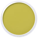 PanPastel Artists Pastels 220.3 Hansa Yellow Shade