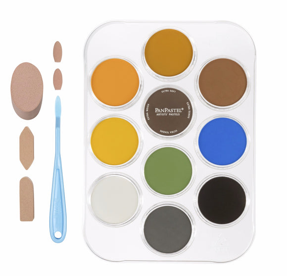 PanPastel with Jason Morgan 30082 Wildlife Painting 10 colours and Soft tools 