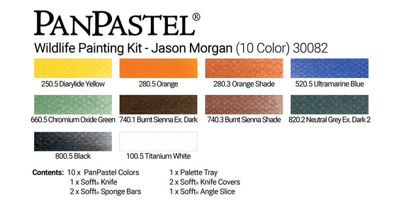 PanPastel with Jason Morgan 30082 Wildlife Painting 10 colours and Soft tools 