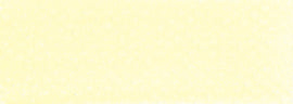 PanPastel Artists Pastels 220.8 Hansa Yellow Tint