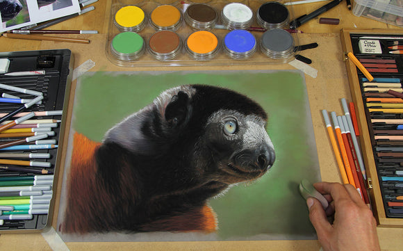 PanPastel with Jason Morgan 30082 Wildlife Painting 10 colours and Soft tools 
