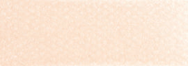 PanPastel Artists Pastels 740.8 Burnt Sienna Tint