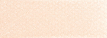 PanPastel Artists Pastels 740.8 Burnt Sienna Tint