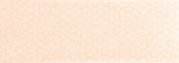 PanPastel Artists Pastels 740.8 Burnt Sienna Tint