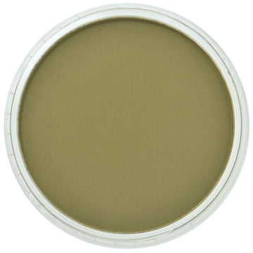 PanPastel Artists Pastels 220.1 Hansa Yellow Ex Dark