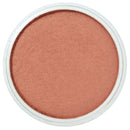 PanPastel Artists Pastels 931.5  Metallic Copper