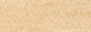 PanPastel Artists Pastels 910.5  Light Gold