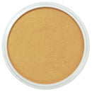 PanPastel Artists Pastels 911.5  Rich Gold