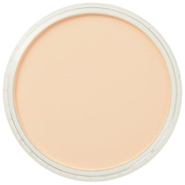 PanPastel Artists Pastels 280.8 Orange Tint