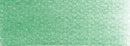 PanPastel Artists Pastels 640.5 Permanent Green