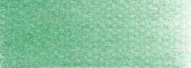 PanPastel Artists Pastels 640.5 Permanent Green