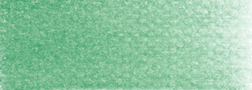 PanPastel Artists Pastels 640.5 Permanent Green