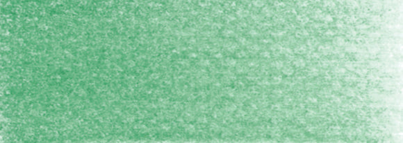 PanPastel Artists Pastels 640.5 Permanent Green