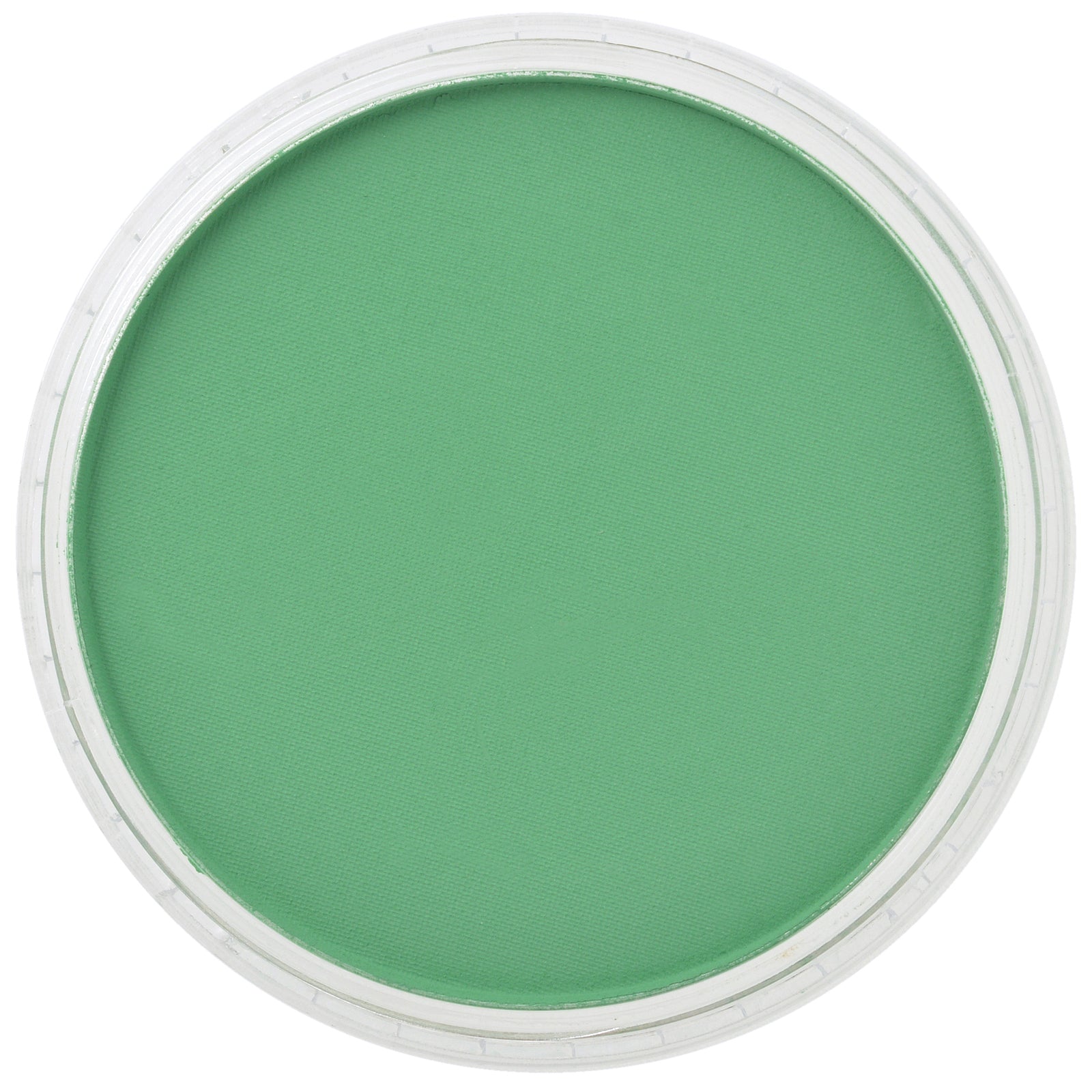 PanPastel Artists Pastels 640.5 Permanent Green