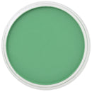 PanPastel Artists Pastels 640.5 Permanent Green