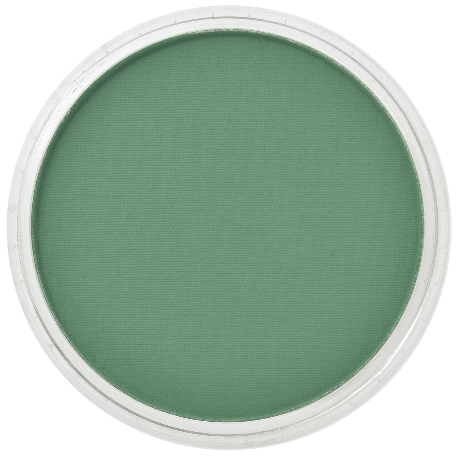 PanPastel Artists Pastels 640.3 Permanent Green Shade