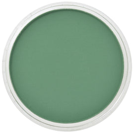 PanPastel Artists Pastels 640.3 Permanent Green Shade