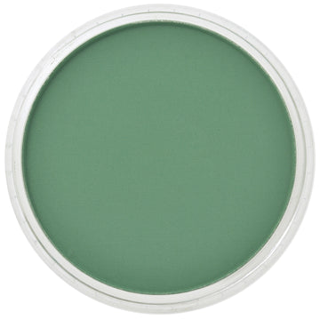 PanPastel Artists Pastels 640.3 Permanent Green Shade