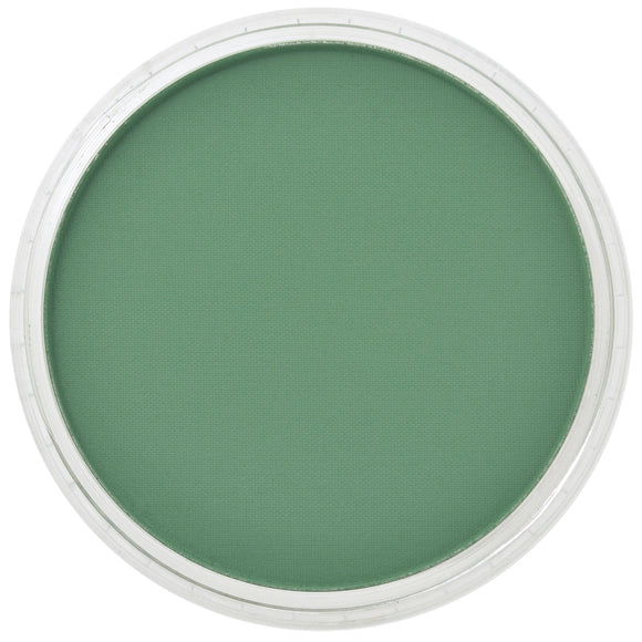 PanPastel Artists Pastels 640.3 Permanent Green Shade