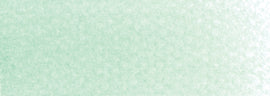 PanPastel Artists Pastels 640.8 Permanent Green Tint