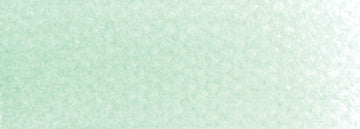 PanPastel Artists Pastels 640.8 Permanent Green Tint