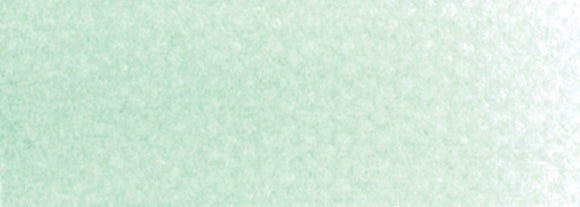 PanPastel Artists Pastels 640.8 Permanent Green Tint